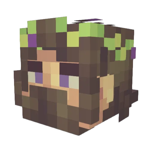HummingBird1921 Minecraft avatar head, 3D render