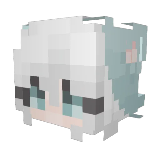 Hummingbird__ Minecraft avatar head, 3D render