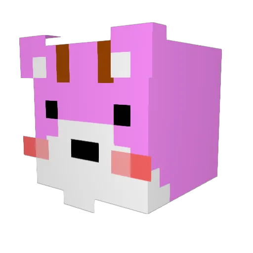Hummon_ Minecraft avatar head, 3D render