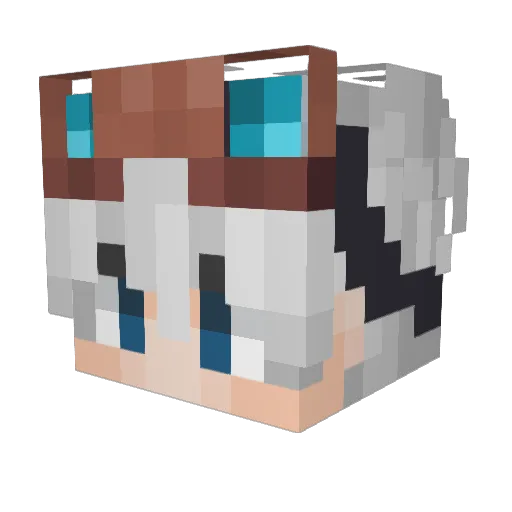 Humour_noir Minecraft avatar head, 3D render