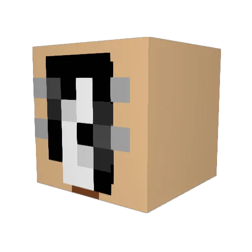 Hun_ter0 Minecraft avatar head, 3D render