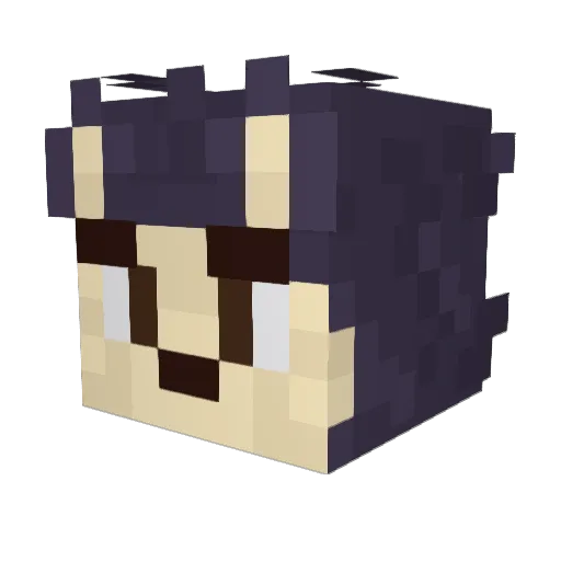 Hundio3 Minecraft avatar head, 3D render
