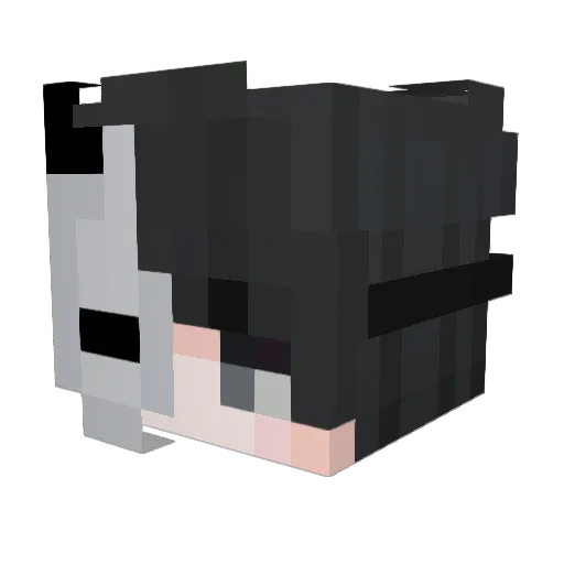 Hundred_Cute Minecraft avatar head, 3D render