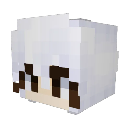 Hundredamoeba96 Minecraft avatar head, 3D render