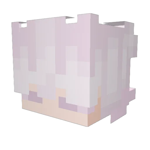 HuneyMoon Minecraft avatar head, 3D render