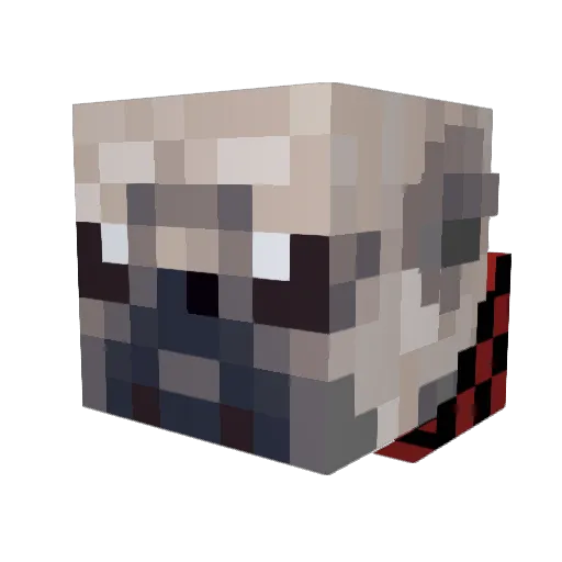 HungerDeRp_ Minecraft avatar head, 3D render