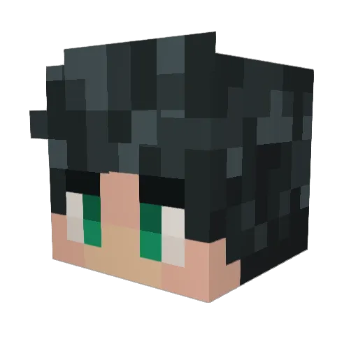 HungerMaster58 Minecraft avatar head, 3D render