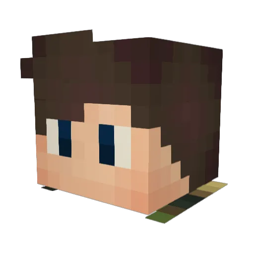 HungerNegs Minecraft avatar head, 3D render