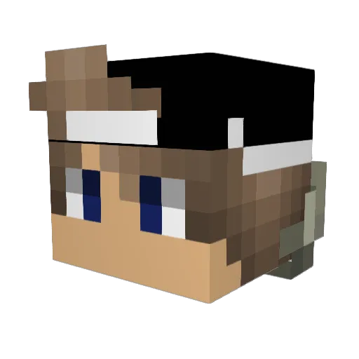 Hungergames2005 Minecraft avatar head, 3D render
