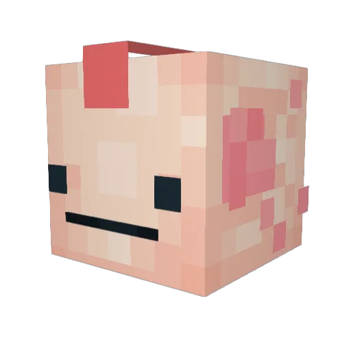 Hungersnot Minecraft avatar head, 3D render