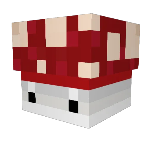 Hungis_TheFungis Minecraft avatar head, 3D render