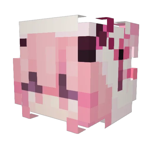 Hungphiii Minecraft avatar head, 3D render