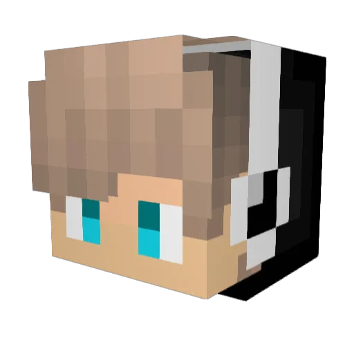 HungryBaby Minecraft avatar head, 3D render