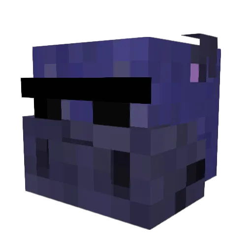HungryHippo360 Minecraft avatar head, 3D render