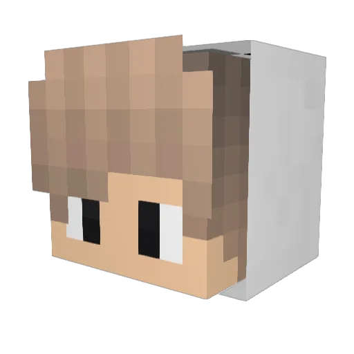 HungryLeonn Minecraft avatar head, 3D render