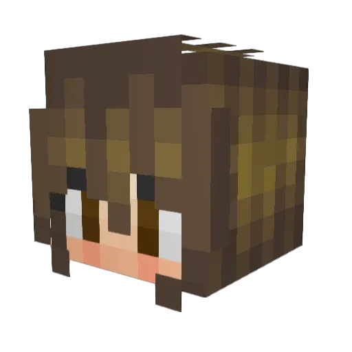 HungryLil Minecraft avatar head, 3D render