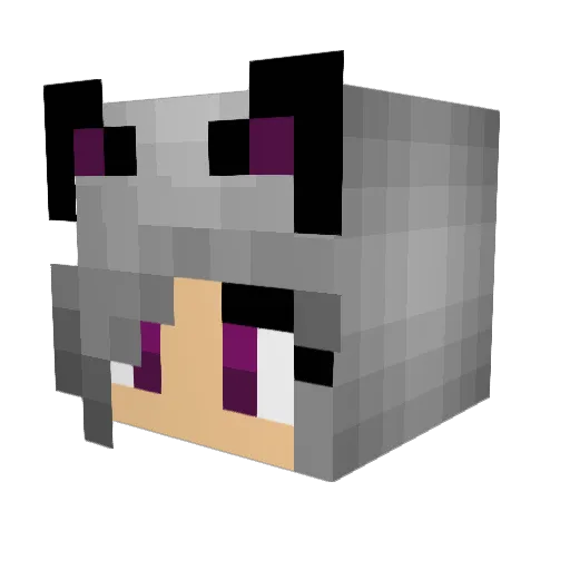 HungryRaven Minecraft avatar head, 3D render