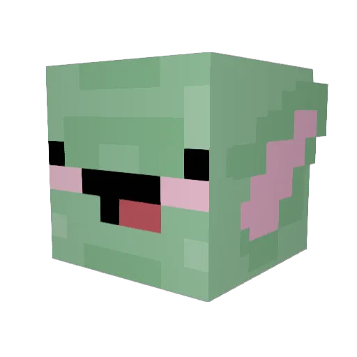HungrySlayer1 Minecraft avatar head, 3D render