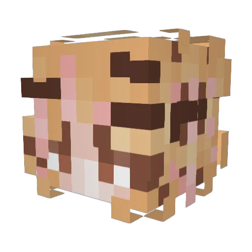 HungryTheFoxKing Minecraft avatar head, 3D render
