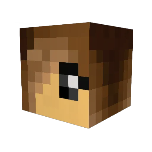 Hungry_Elephant Minecraft avatar head, 3D render