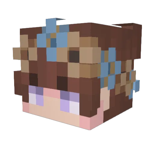 Hungry_hedgie Minecraft avatar head, 3D render