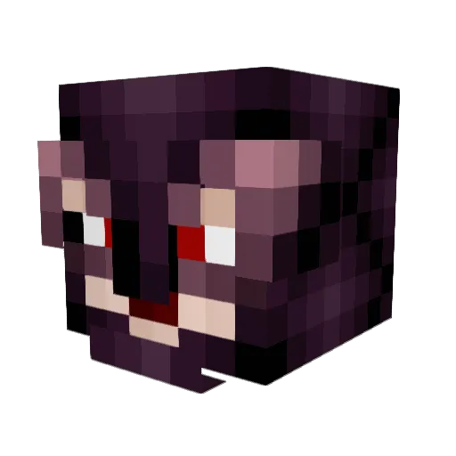 Hungryraptor12 Minecraft avatar head, 3D render