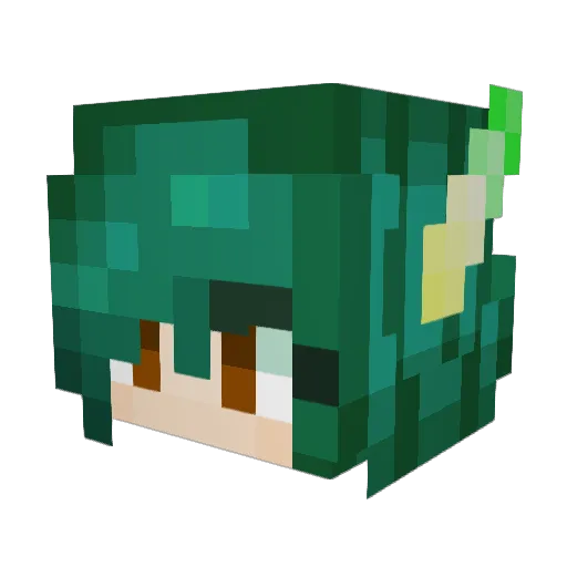 Hungus8205 Minecraft avatar head, 3D render