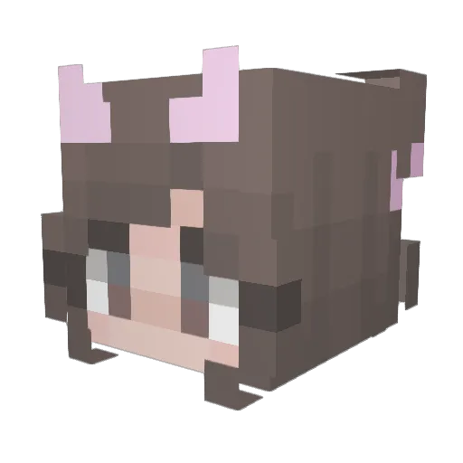 HuniBuni20 Minecraft avatar head, 3D render