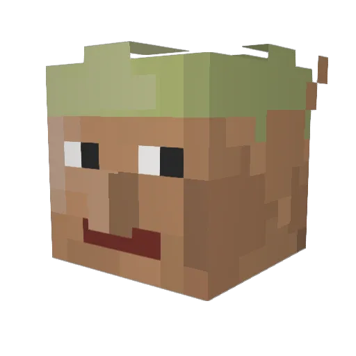 Hunotis Minecraft avatar head, 3D render