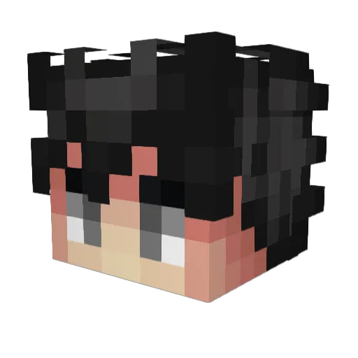 Hunsor Minecraft avatar head, 3D render