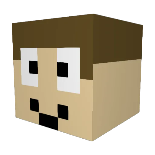 Hunswe Minecraft avatar head, 3D render