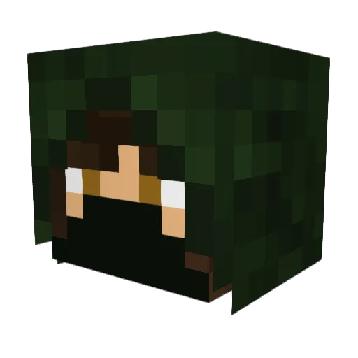 Hunt4Life Minecraft avatar head, 3D render