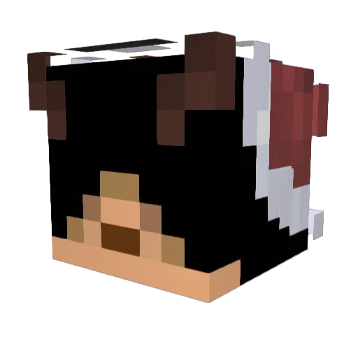 Hunt555 Minecraft avatar head, 3D render