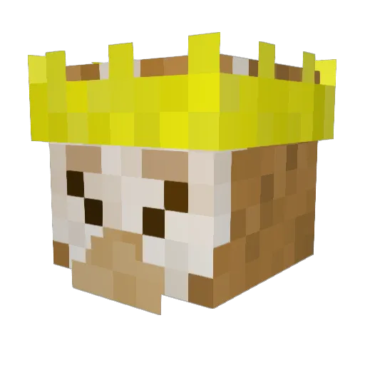 HuntDogTech Minecraft avatar head, 3D render