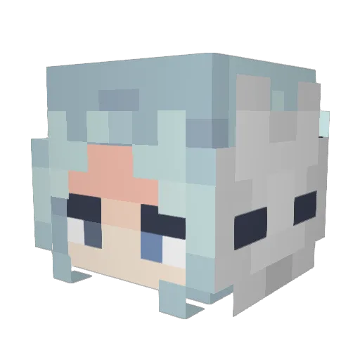 Hunter0768 Minecraft avatar head, 3D render