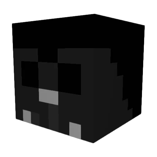 Hunter27542 Minecraft avatar head, 3D render