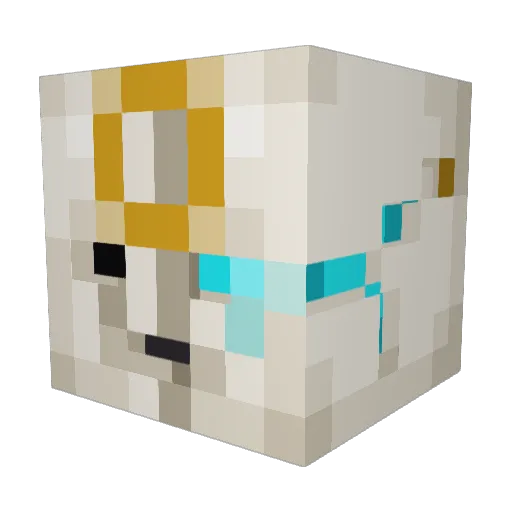Hunter54711 Minecraft avatar head, 3D render