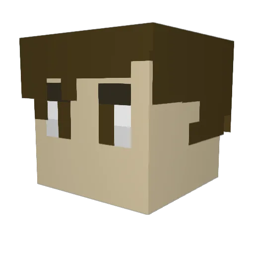 Hunter6718 Minecraft avatar head, 3D render