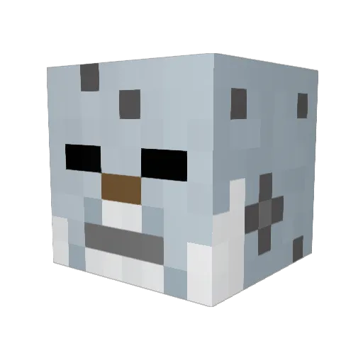 Hunter815 Minecraft avatar head, 3D render