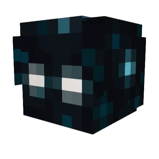 Hunter8785 Minecraft avatar head, 3D render
