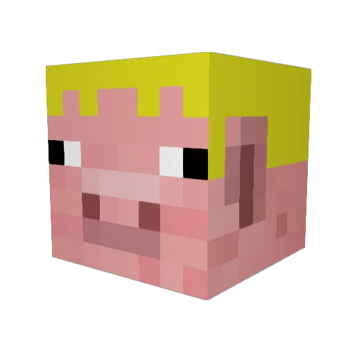 HunterBerg Minecraft avatar head, 3D render