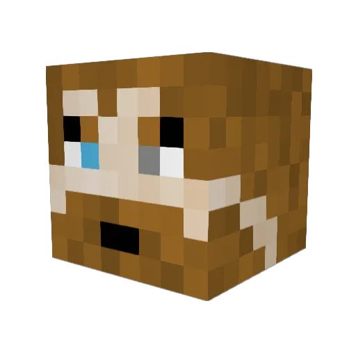 HunterDalto Minecraft avatar head, 3D render