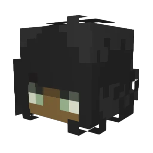 HunterFCJ Minecraft avatar head, 3D render