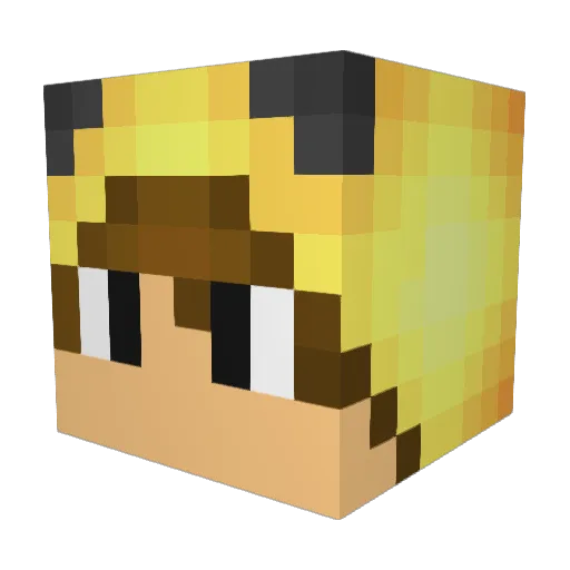 HunterG4 Minecraft avatar head, 3D render
