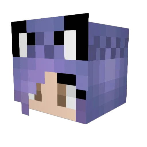 HunterGirl1019 Minecraft avatar head, 3D render