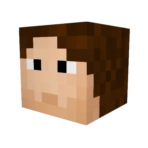 HunterJT04 Minecraft avatar head, 3D render