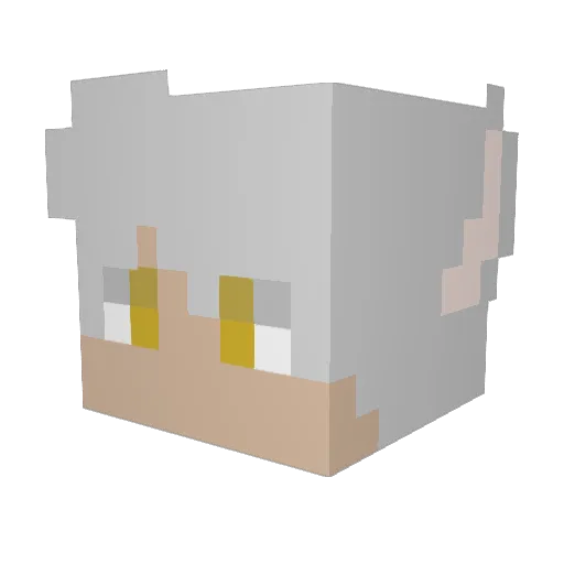 HunterKensha Minecraft avatar head, 3D render