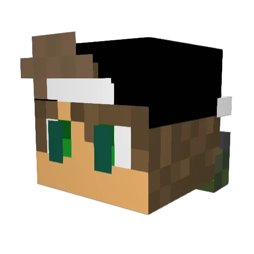 HunterKrue Minecraft avatar head, 3D render