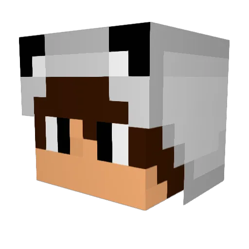 HunterR_98 Minecraft avatar head, 3D render