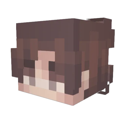 HunterReese Minecraft avatar head, 3D render